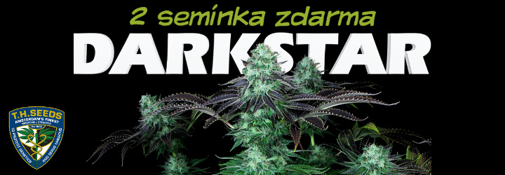 Semínka konopí Dark Star Kush od T.H. Seeds